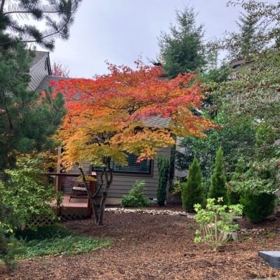PNW Home Residential Contractor